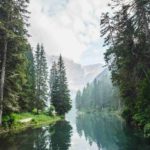 Climate crisis into the Mainstream and Engages
