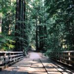 Five Public Sector Trends in Ecosystem Services